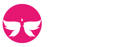 DB视讯·(中国区)官方网站